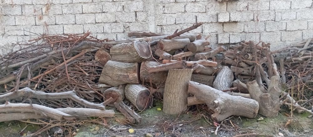 Otin sotiladi  отин сотилади