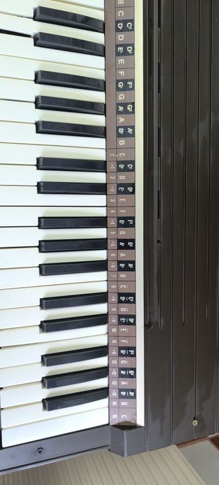 Orga    Bontempi