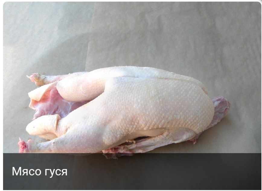 Домашнее мясо птицы