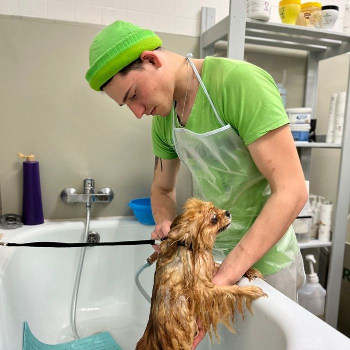 Ветеринарный Врач г.Семей