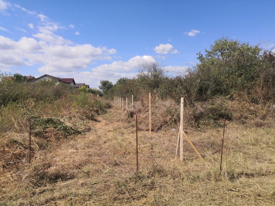 Proprietar vand teren intravilan pe colt 1.756mp – Mogoșoaia