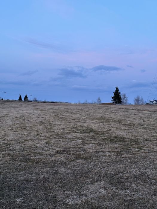 Teren in Marisel, Copcea aproape de partie