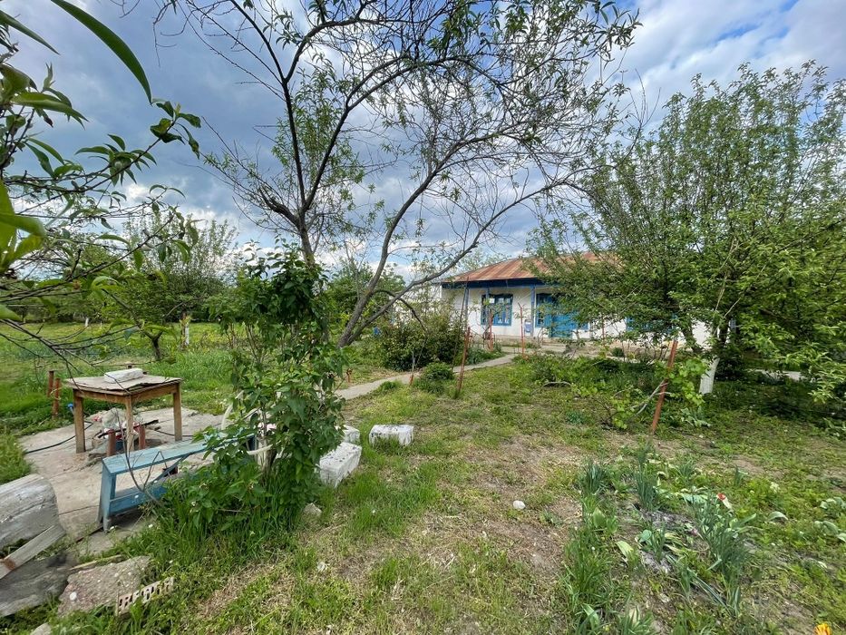 Casa de vanzare  Batraneasca