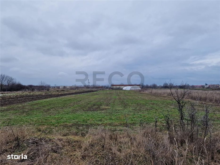 RECO Teren intravilan in Bors cu front mare