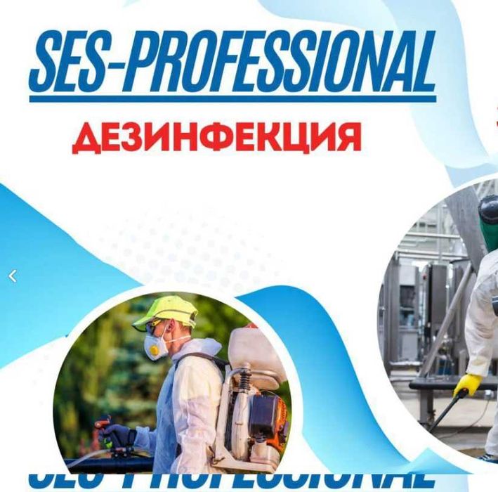 Дезинфекция: клопы, тараканы, мыши, крысы | гарантия