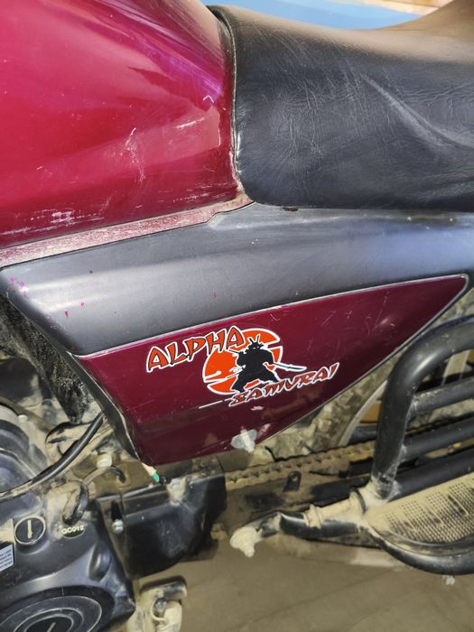 Продам Альфу самураи