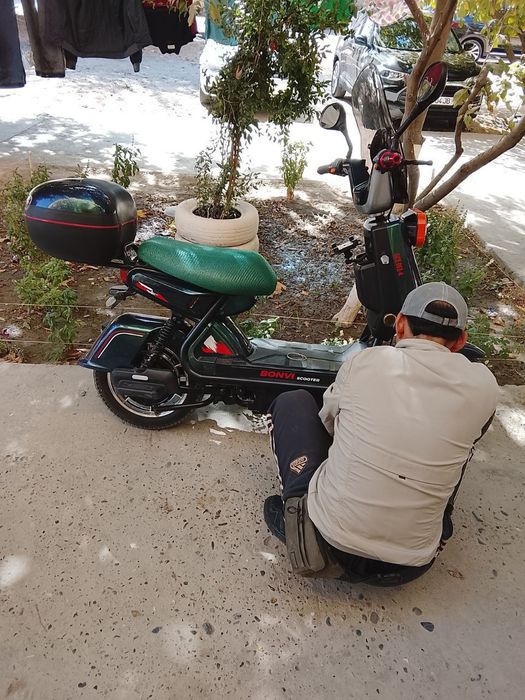 Sukutor holati yahshi yangi