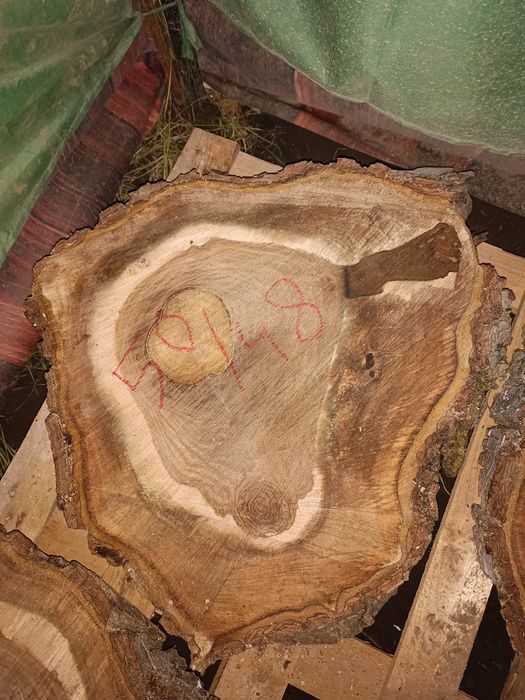 Rondele felli din lemn de nuc