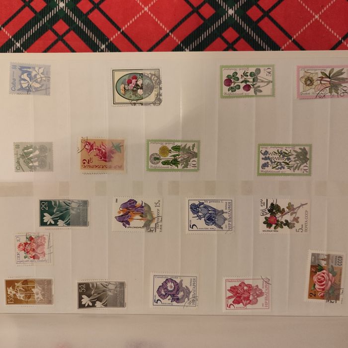 Clasor timbre cu tematica flori