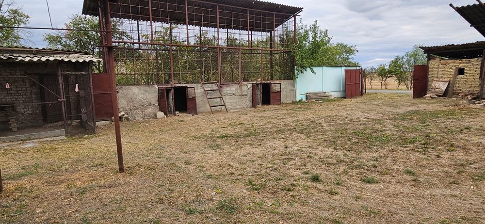 Casă de vânzare Nădlac