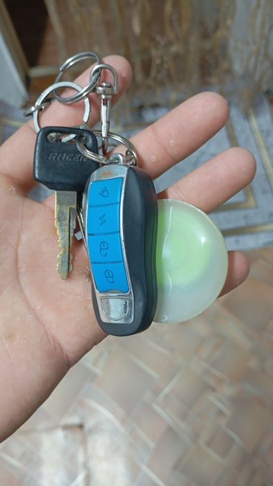 Продам скутер Рейсер лупос