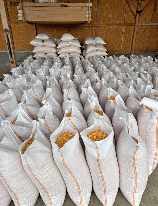 Vând porumb uscat gata pus in saci ofer si transport la domiciliu