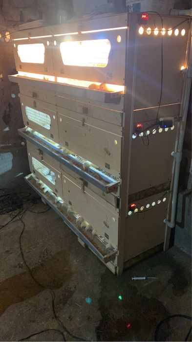 Брудер балапандарға арналған