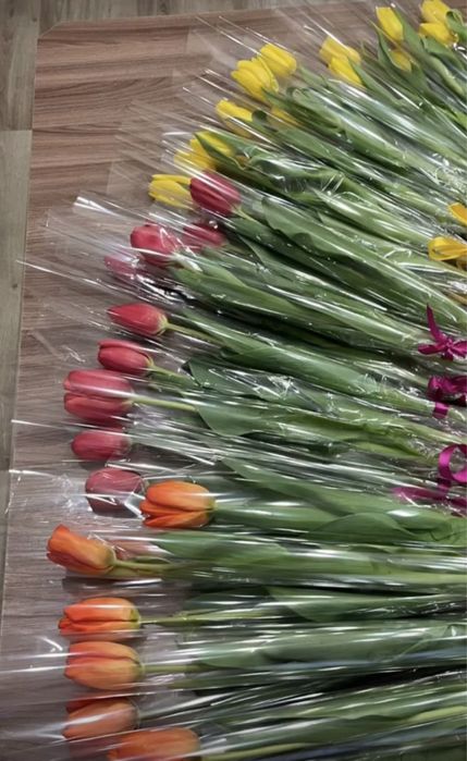 Продам тюльпаны оптом и розница