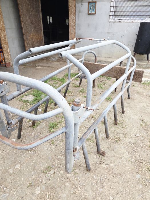 Vând boxe fătare scroafe