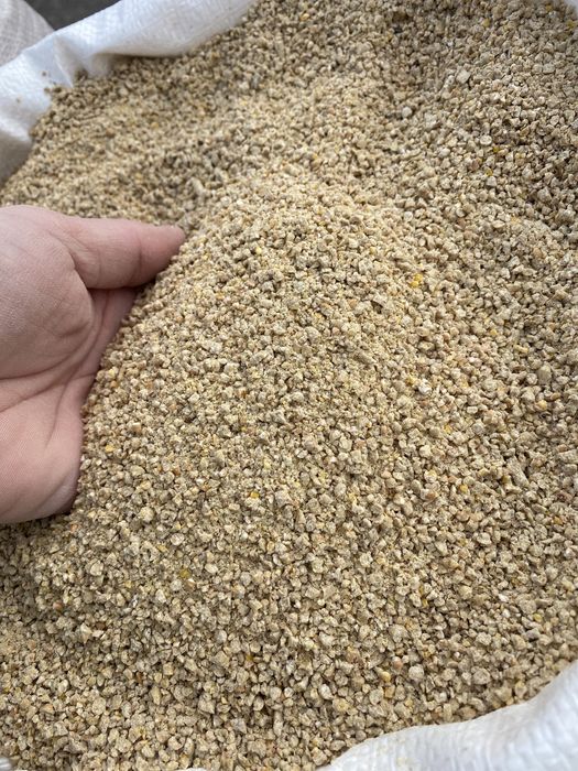 Brizura pui de carne rasa mixta gaini ouatoare granule