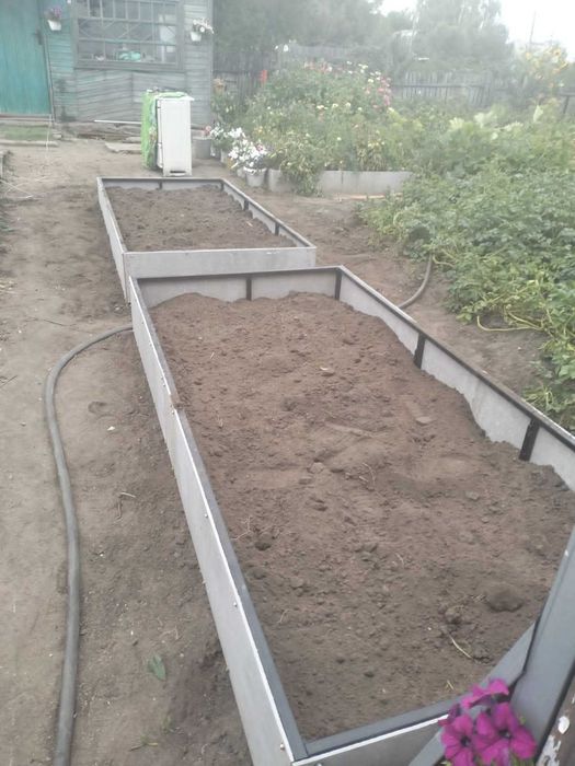 Дача в обществе Ромашка Сортировка