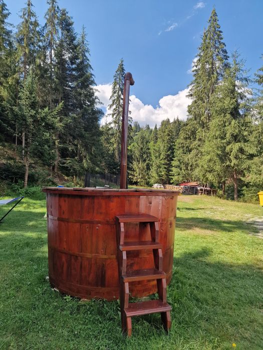 Cabana Armina și Andrei Arieseni