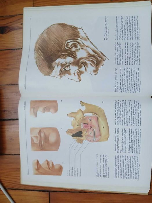 Атлас/Глава-Учебник/Помагало за Художници