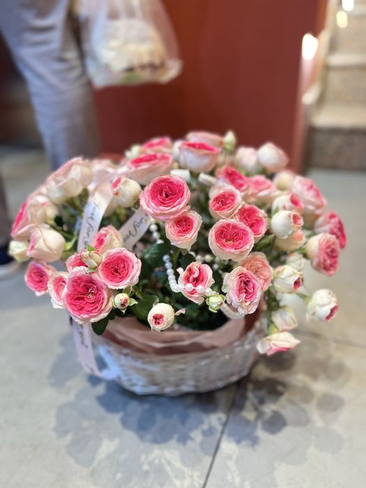 Срочно продам цветы