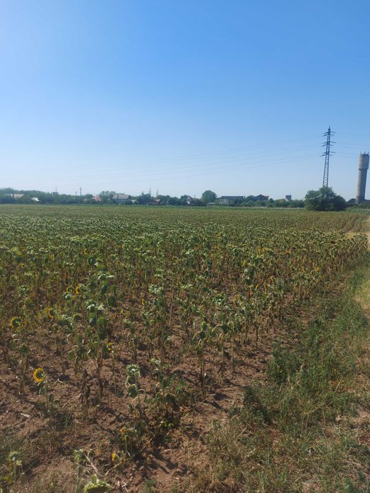 Intravilan Valea Calugareasca 4895 mp