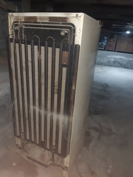 Muzlatkic.  Rasiski boyi 150 . iwlayotgan yaxwi zor iwledi.