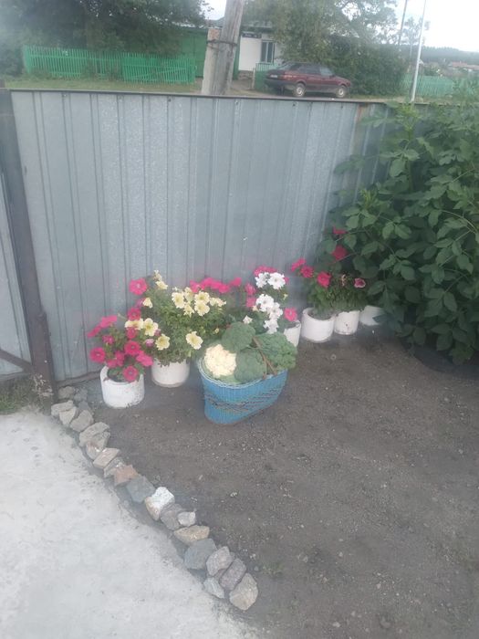 Продам дом в Имантау