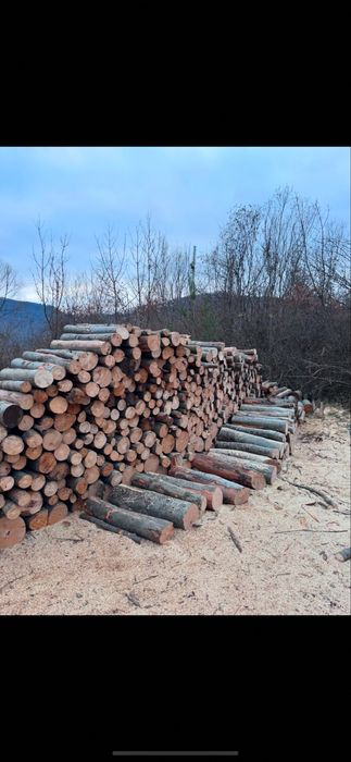 Lemn foc esenta FAG de vanzare.Transport asigurat.