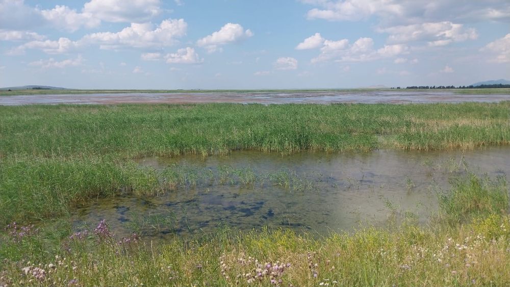 Рыболовное хозяиство