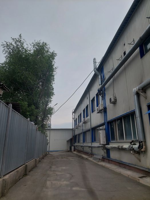 Спилить дерево.