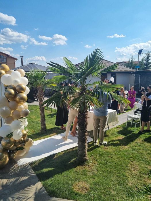 Vila Petreceri Evenimente Onomastice Majorat Botez Cununie Petrecere burlaci Piscina Petreceri Piscina