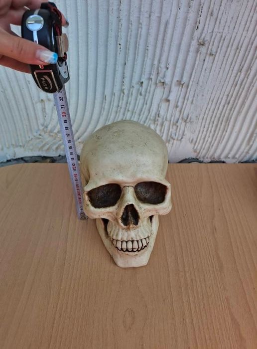 Реалистична статуетка на череп