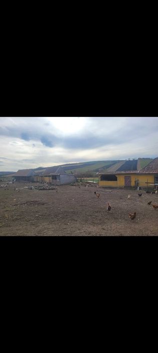 Casă consteucție noă cu 4,5ha de teren de vanzare