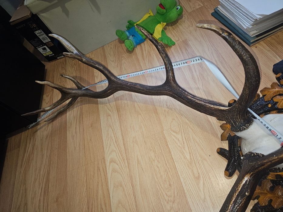REDUCERE Trofeu coarne cerb 8 raze 135 cm cu panoplie sculptată manual