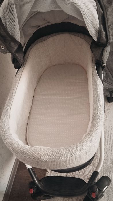 Детская коляска Adamex Gloria 2в1