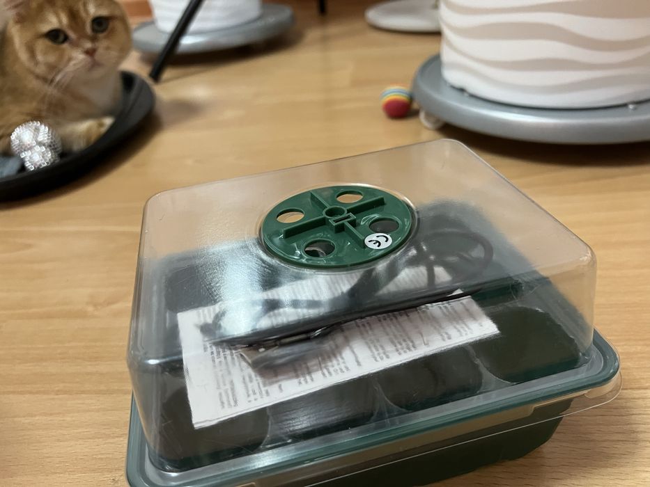 Мини парник с фитолампой для рассады