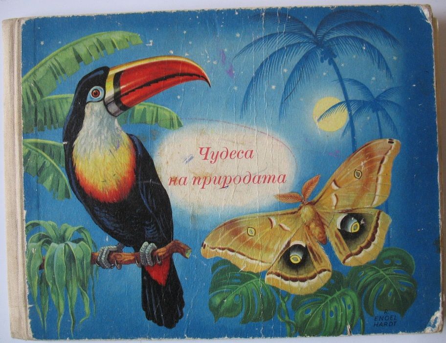 Мечо Пух от А.А.Милн