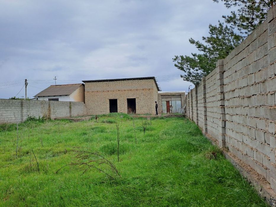 Дала ховли пулот даргом
