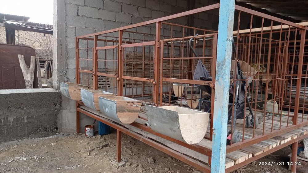 Qoyxona 8 talik qoy boqadiganlar qiziqsa zor texnika