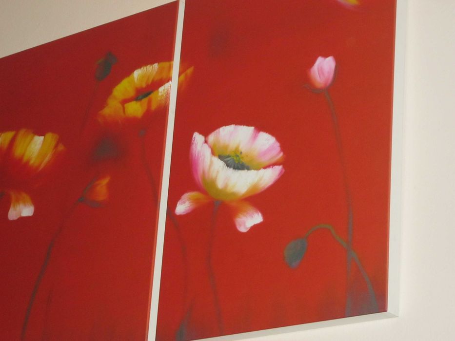 3 бр. картини Макове