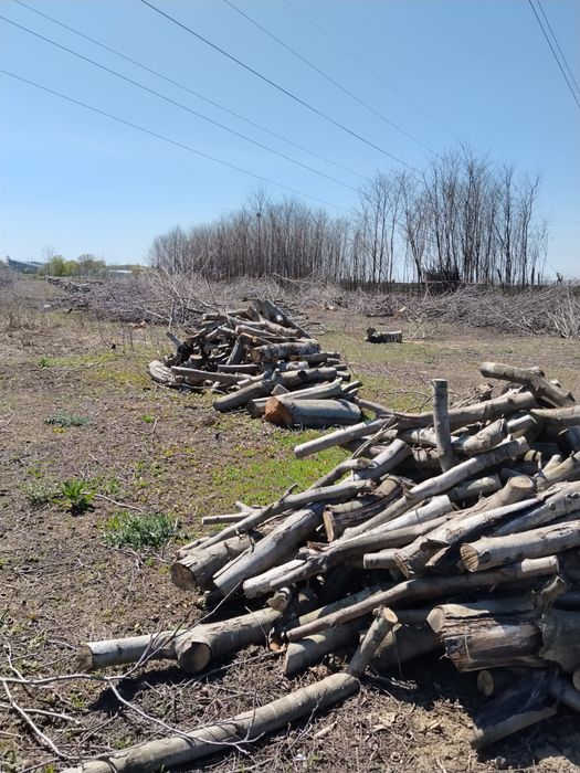 Vand lemn nuc pentru incalzire/mobila