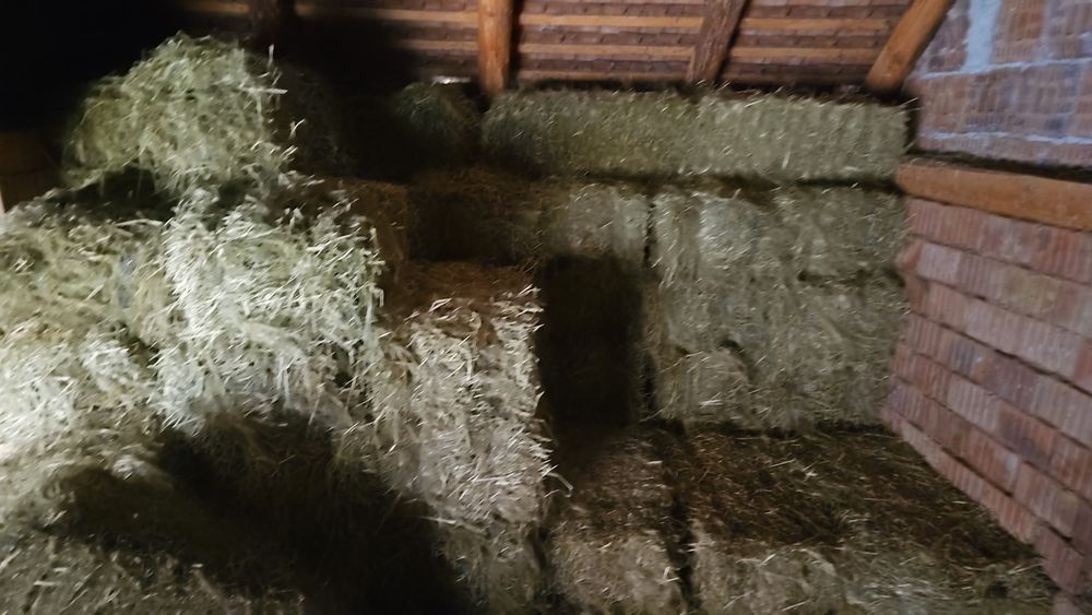 Baloti de otava de vanzare