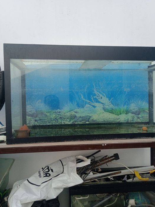 Бу аквариумы,и стелажи
