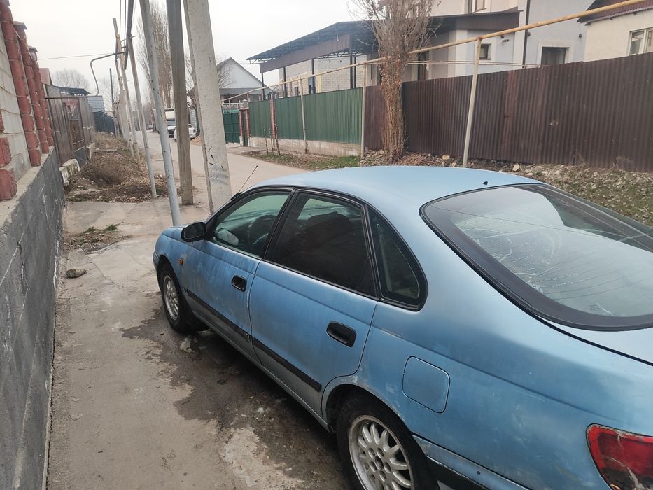 Карина Е Karina E