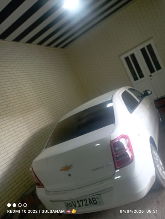 Yangi kobilt sotiladi