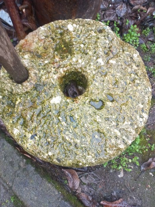 Стар хромел за брашно