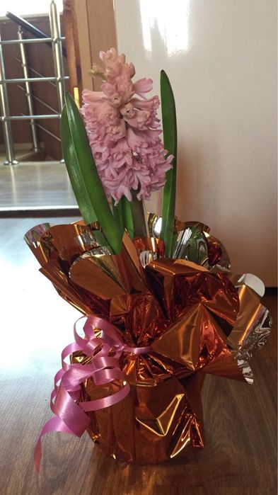 Предзоказ Геоцинт