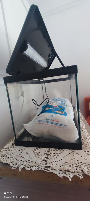Acvariu plus accesoriile