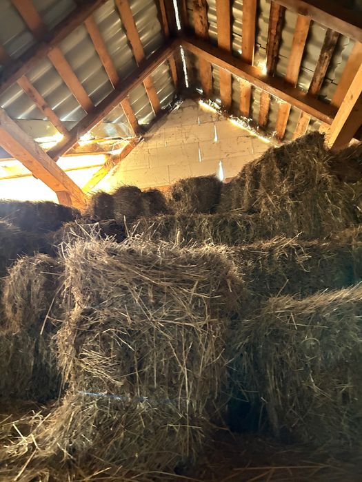 Vând baloți de fân