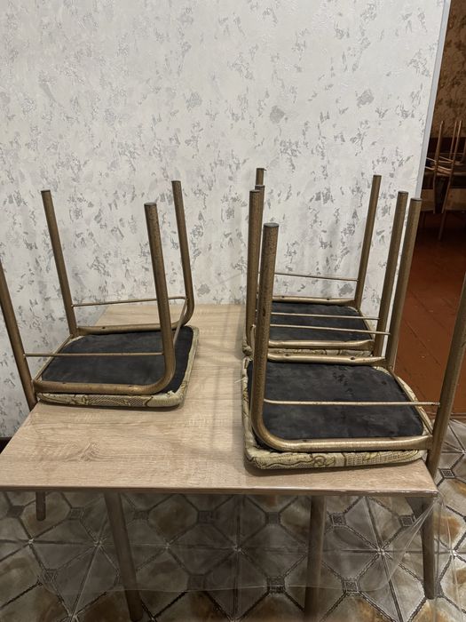 Xjabaks ajs aja zja s